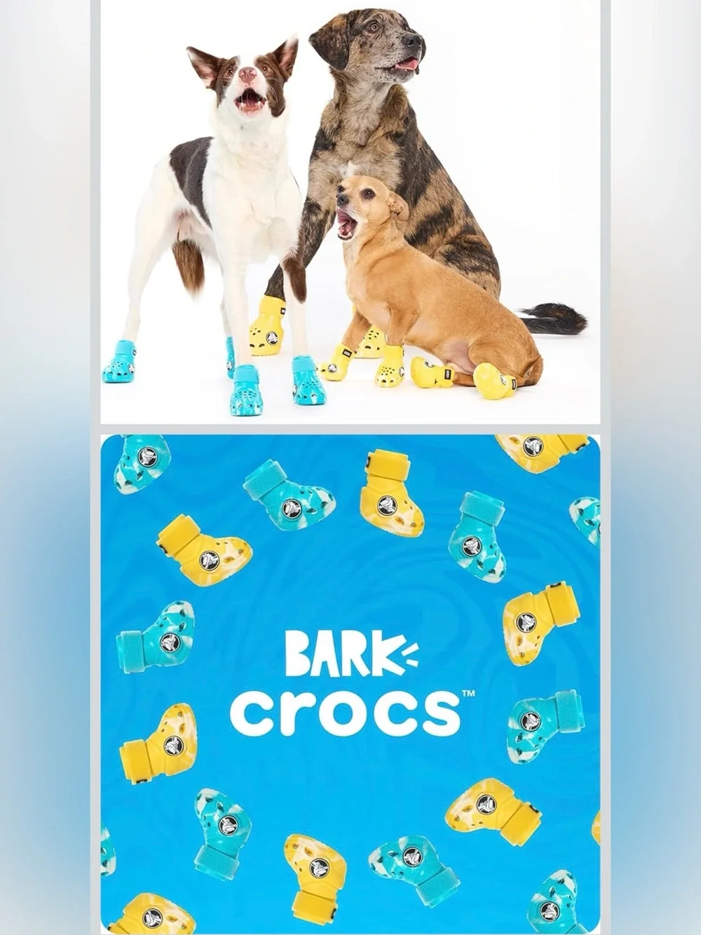 Bark Crocs Dog Boots in Aqua (Blue) size S